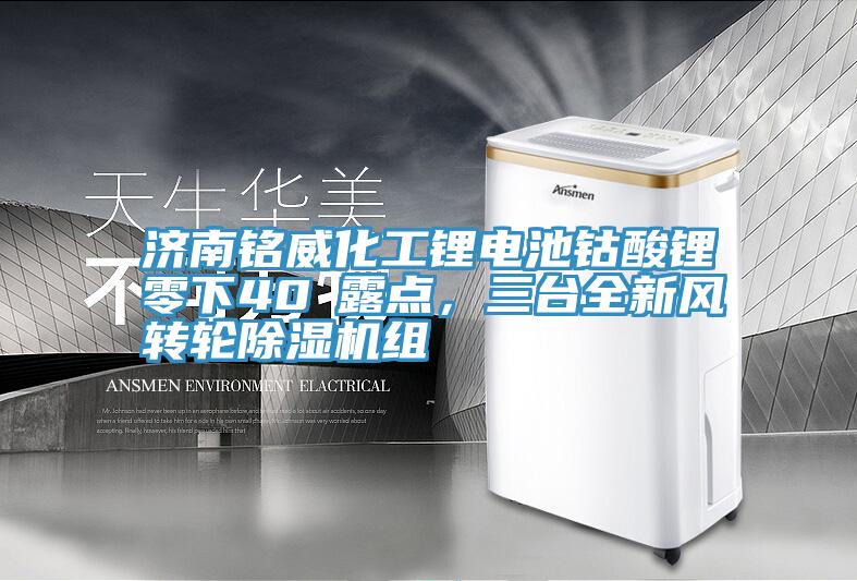 濟(jì)南銘威化工鋰電池鈷酸鋰零下40℃露點(diǎn)，三臺(tái)全新風(fēng)轉(zhuǎn)輪除濕機(jī)組