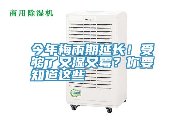 今年梅雨期延長(zhǎng)！受夠了又濕又霉？你要知道這些