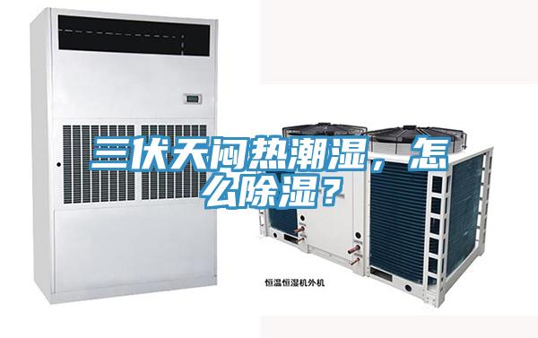三伏天悶熱潮濕，怎么除濕？