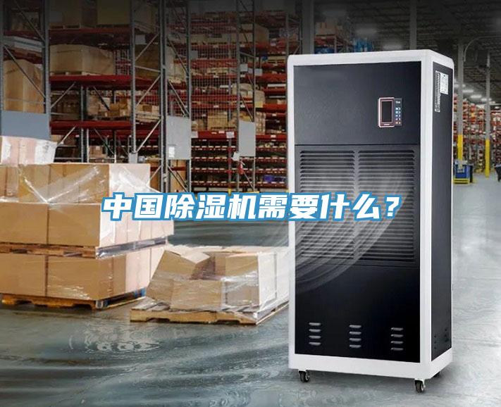中國除濕機需要什么？