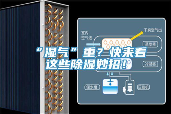 “濕氣”重？快來看這些除濕妙招！