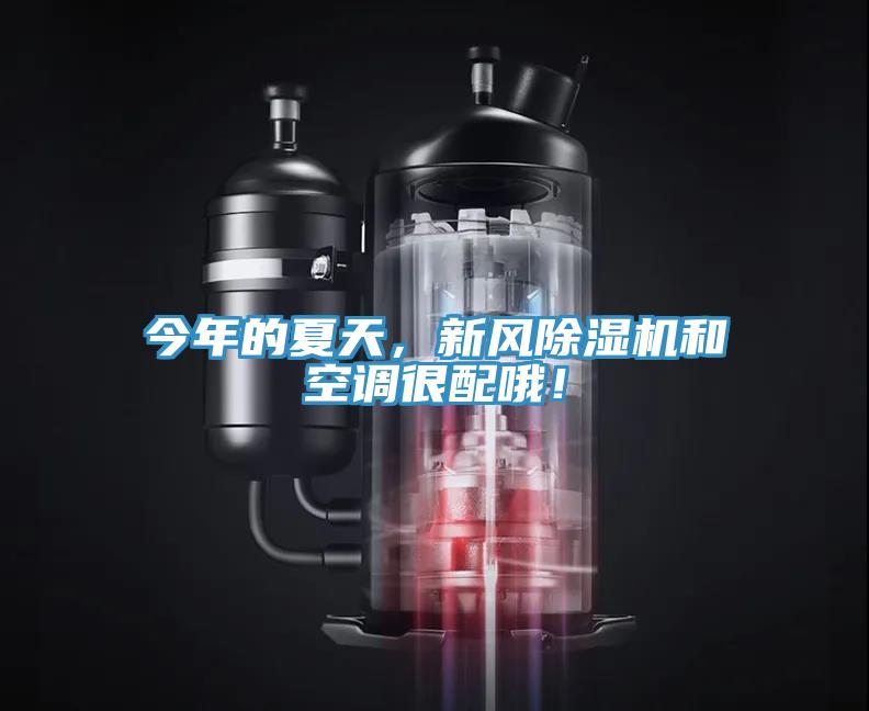 今年的夏天，新風(fēng)除濕機(jī)和空調(diào)很配哦！
