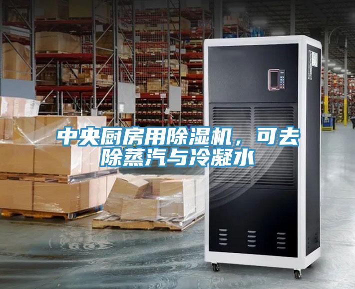 中央廚房用除濕機(jī)，可去除蒸汽與冷凝水