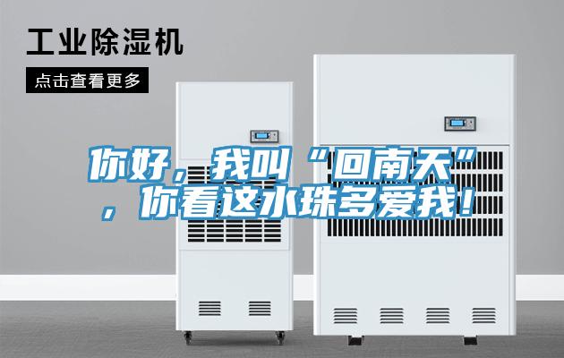 你好，我叫“回南天”，你看這水珠多愛我！