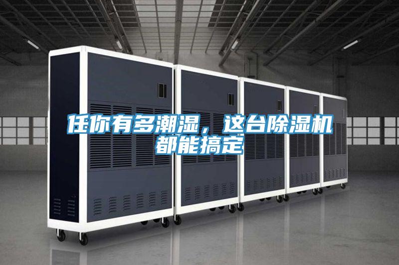 任你有多潮濕，這臺除濕機(jī)都能搞定
