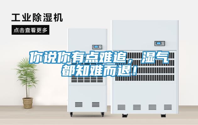 你說你有點難追，濕氣都知難而退！