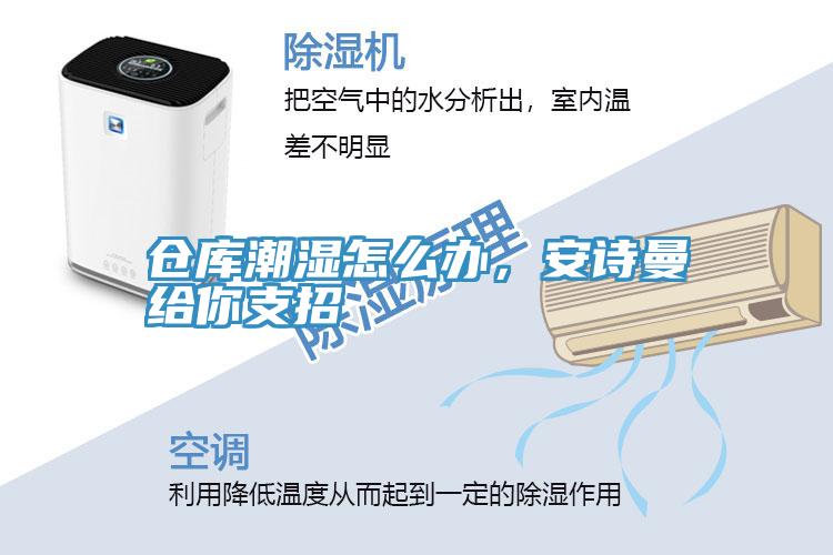 倉庫潮濕怎么辦，安詩曼給你支招