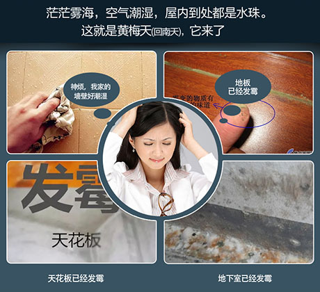 家庭別墅的地下室、衛(wèi)生間、儲物室等該如何除濕？