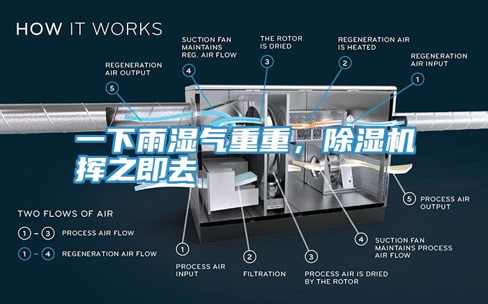一下雨濕氣重重，除濕機(jī)揮之即去
