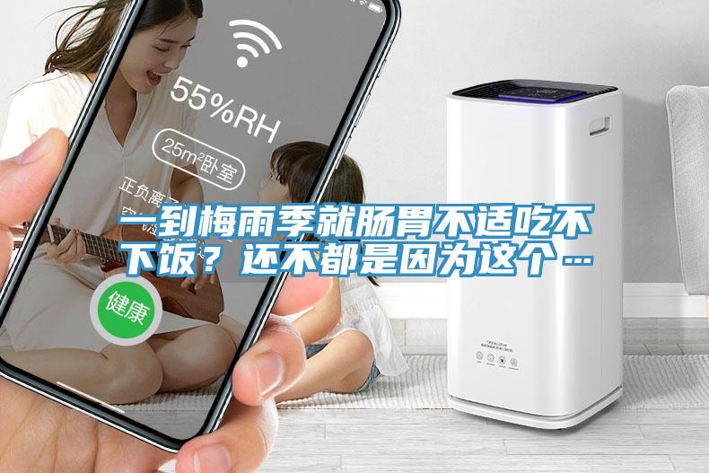 一到梅雨季就腸胃不適吃不下飯？還不都是因?yàn)檫@個(gè)…