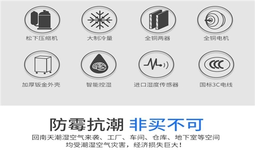 為什么房子潮濕會有危害？
