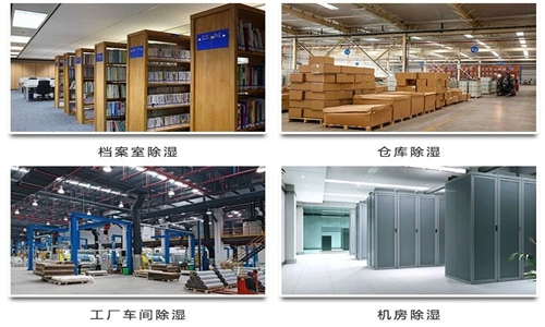 為什么竹筍烘干房需要除濕機？