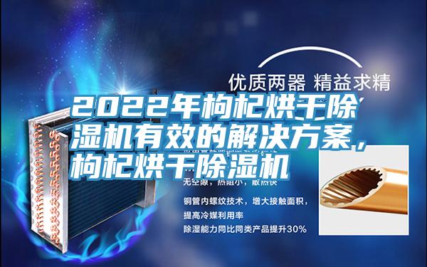 2022年枸杞烘干除濕機有效的解決方案，枸杞烘干除濕機