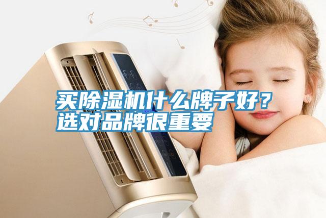 買除濕機什么牌子好？選對品牌很重要