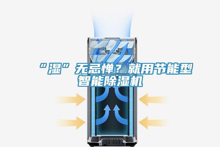 “濕”無忌憚？就用節(jié)能型智能除濕機