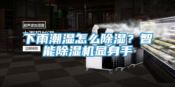下雨潮濕怎么除濕？智能除濕機(jī)顯身手