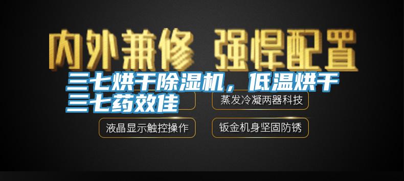 三七烘干除濕機，低溫烘干三七藥效佳