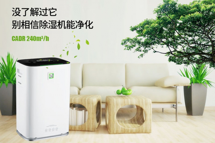 一到回南天狗狗就感冒+皮膚病，怎么辦？