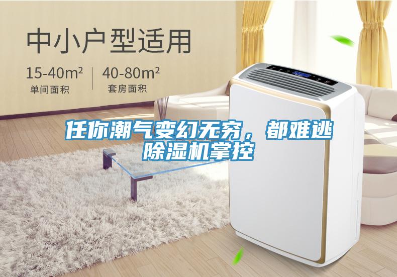 任你潮氣變幻無窮，都難逃除濕機(jī)掌控