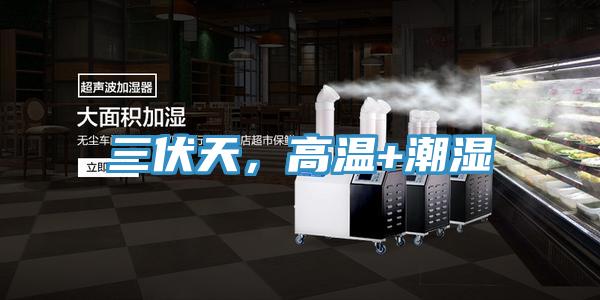 三伏天，高溫+潮濕