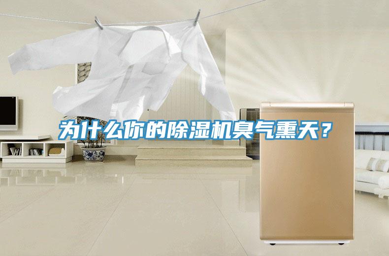 為什么你的除濕機(jī)臭氣熏天？