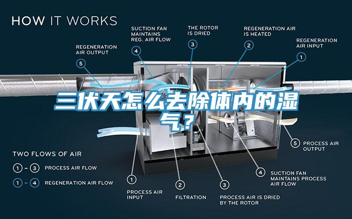 三伏天怎么去除體內(nèi)的濕氣？