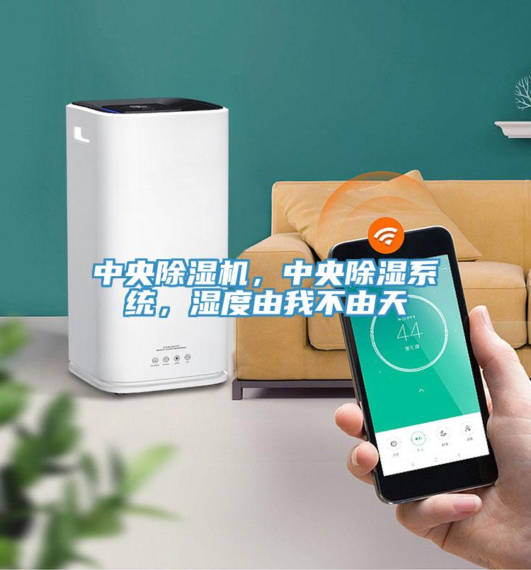 中央除濕機(jī)，中央除濕系統(tǒng)，濕度由我不由天