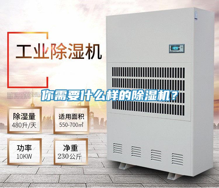 你需要什么樣的除濕機？