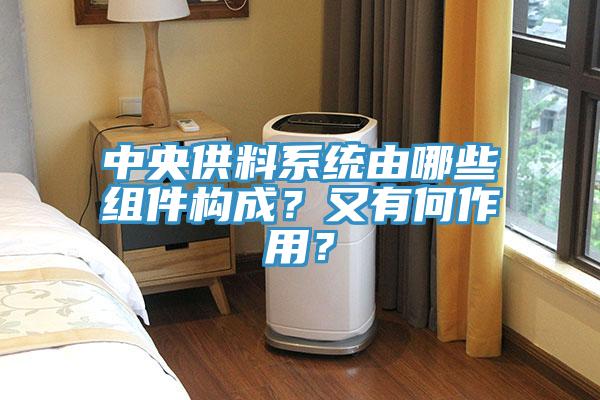 中央供料系統(tǒng)由哪些組件構(gòu)成？又有何作用？