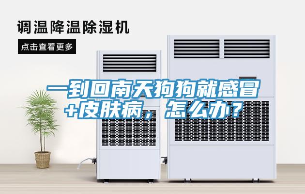 一到回南天狗狗就感冒+皮膚病，怎么辦？
