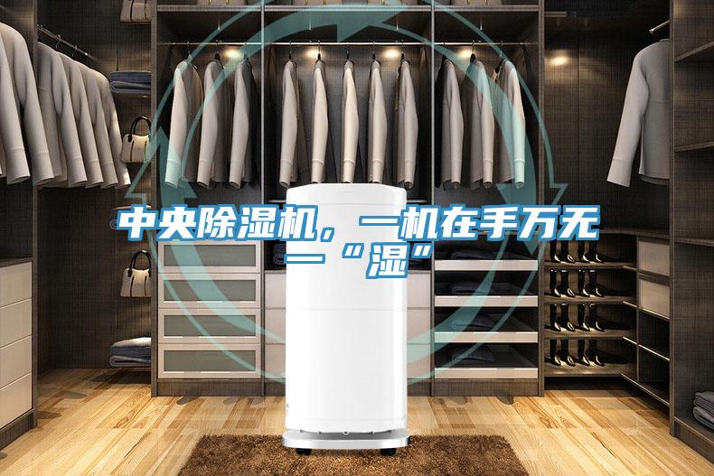 中央除濕機(jī)，一機(jī)在手萬無一“濕”