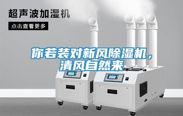 你若裝對新風(fēng)除濕機，清風(fēng)自然來