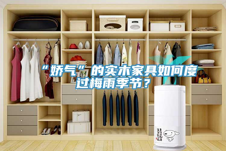 “嬌氣”的實木家具如何度過梅雨季節(jié)？