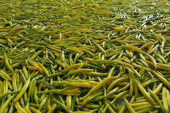無硫金針菜烘干如何保持品相？不發(fā)黑？_除濕機(jī)廠家
