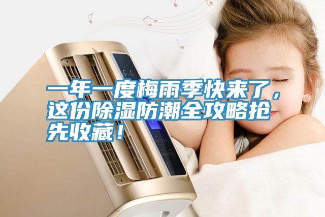 一年一度梅雨季快來了，這份除濕防潮全攻略搶先收藏！