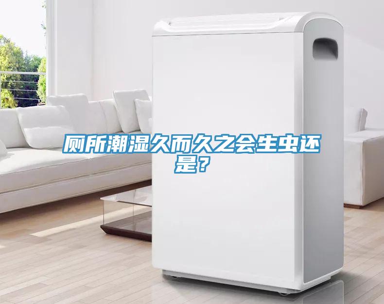 廁所潮濕久而久之會生蟲還是？