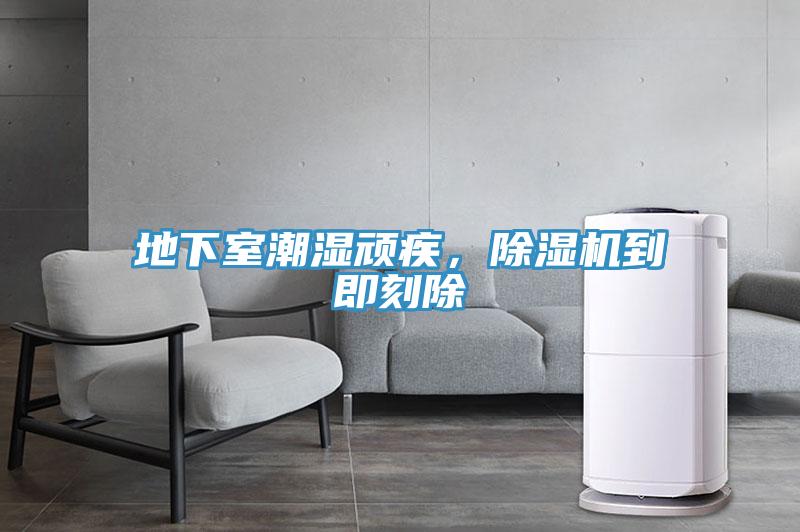 地下室潮濕頑疾，除濕機到即刻除