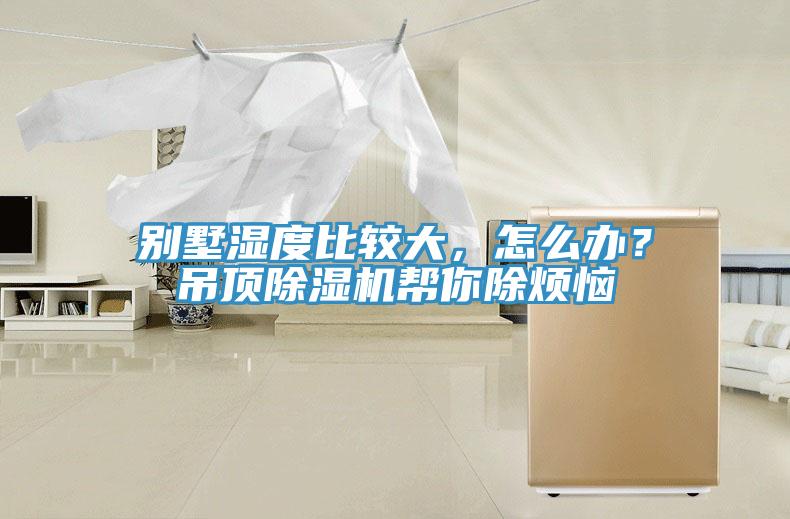 別墅濕度比較大，怎么辦？吊頂除濕機(jī)幫你除煩惱