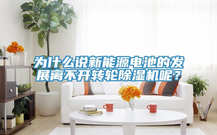 為什么說新能源電池的發(fā)展離不開轉(zhuǎn)輪除濕機(jī)呢？