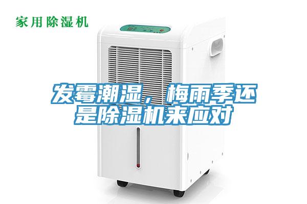 發(fā)霉潮濕，梅雨季還是除濕機(jī)來應(yīng)對