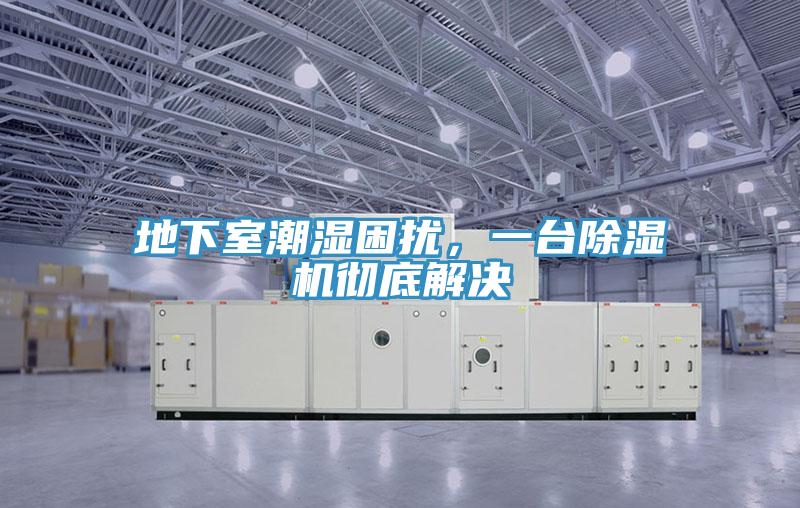 地下室潮濕困擾，一臺除濕機(jī)徹底解決