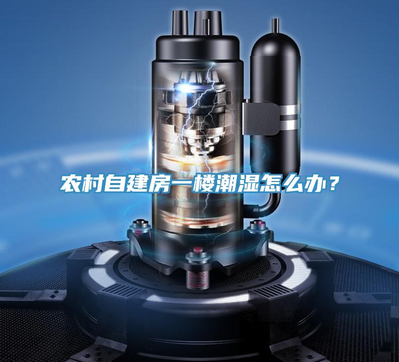 農(nóng)村自建房一樓潮濕怎么辦？