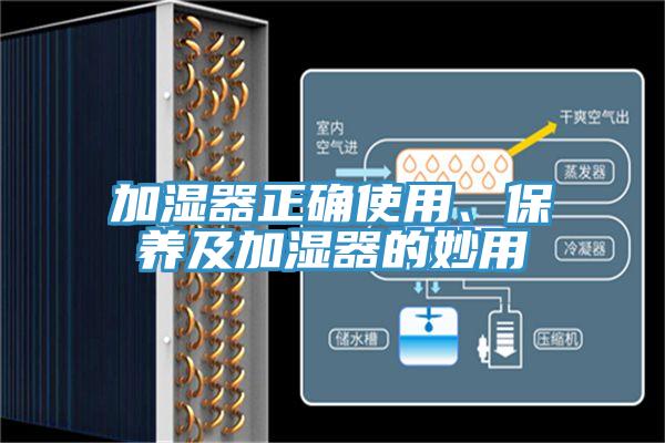 加濕器正確使用、保養(yǎng)及加濕器的妙用