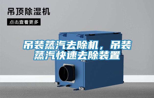 吊裝蒸汽去除機(jī)，吊裝蒸汽快速去除裝置