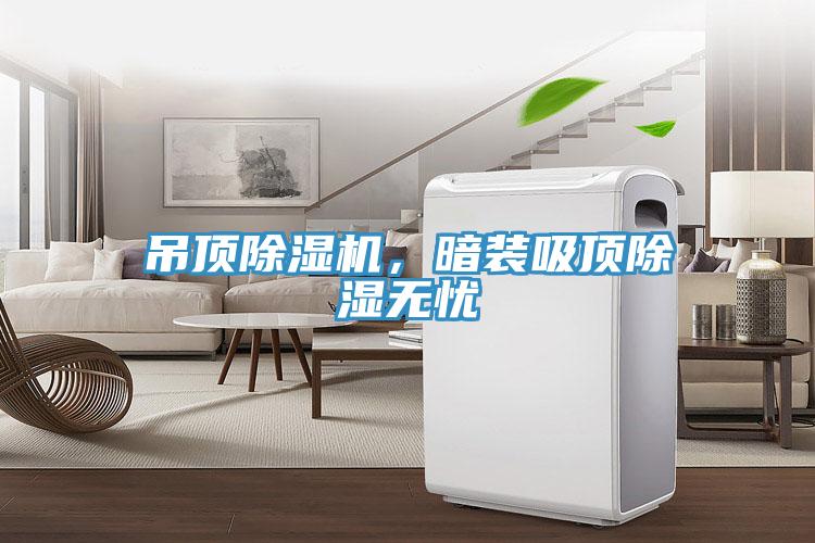 吊頂除濕機(jī)，暗裝吸頂除濕無(wú)憂