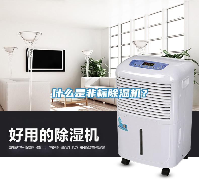 什么是非標(biāo)除濕機(jī)？