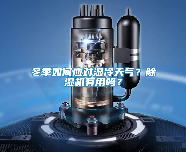 冬季如何應(yīng)對濕冷天氣？除濕機有用嗎？