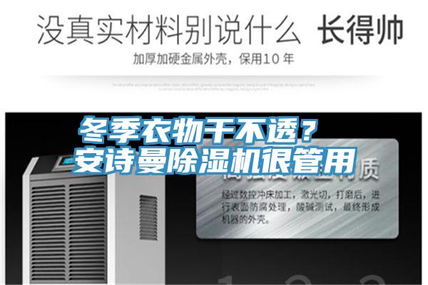 冬季衣物干不透？ 安詩曼除濕機很管用