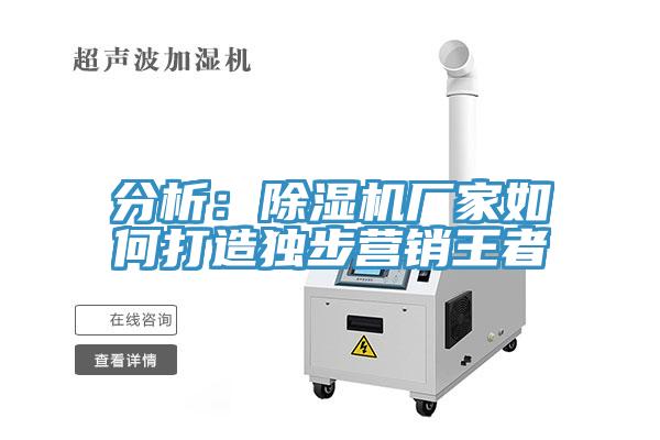 分析：除濕機(jī)廠家如何打造獨(dú)步營(yíng)銷(xiāo)王者