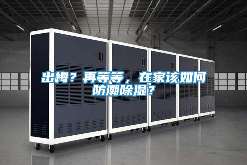 出梅？再等等，在家該如何防潮除濕？
